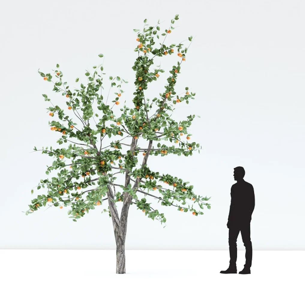 Apple Tree With Red Apples