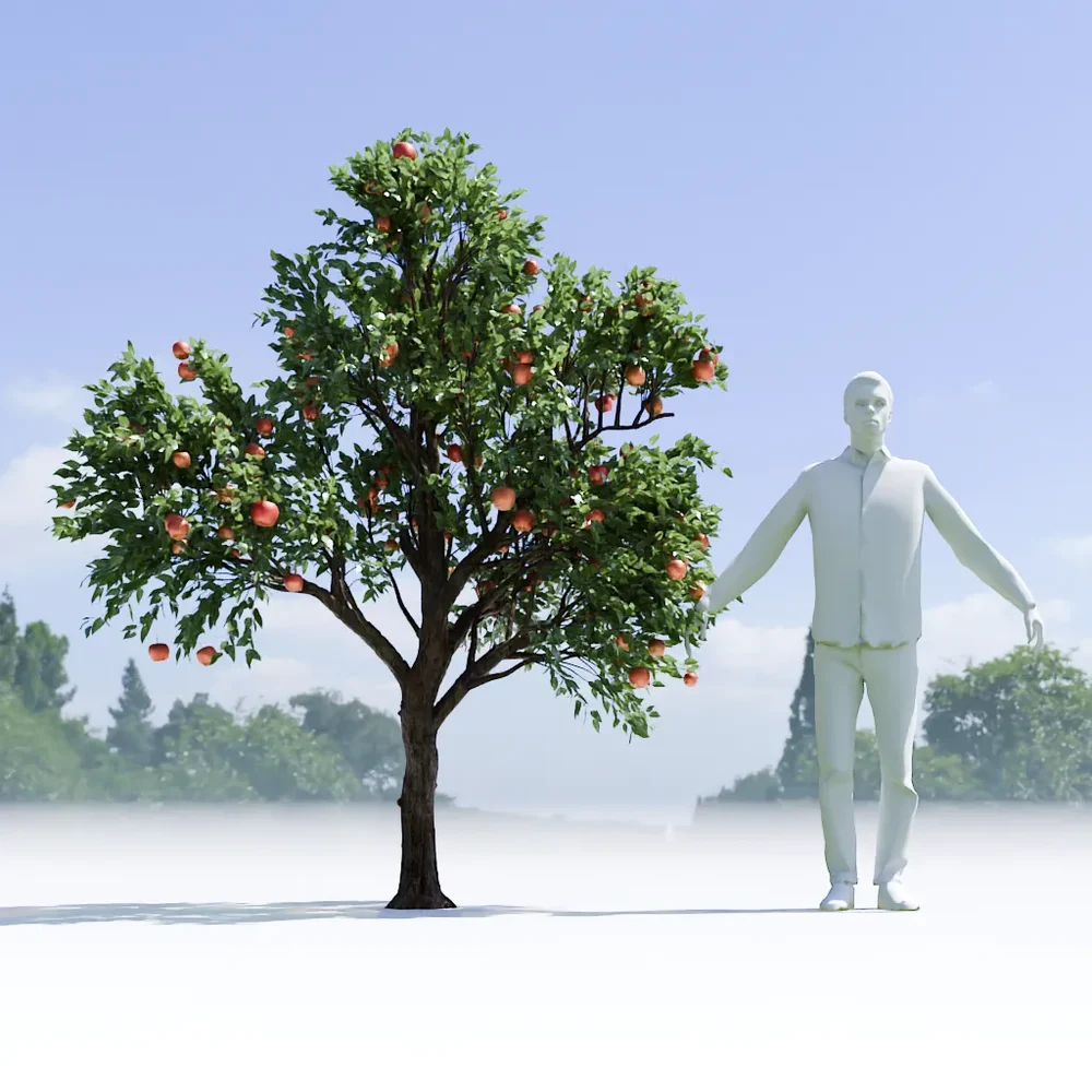 Apple Tree