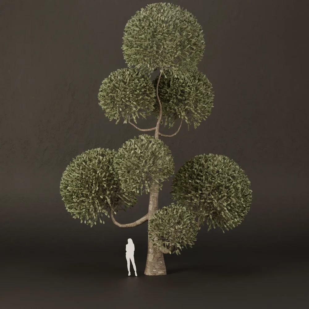 Sj-Ornamental Tree Layer Rhythm