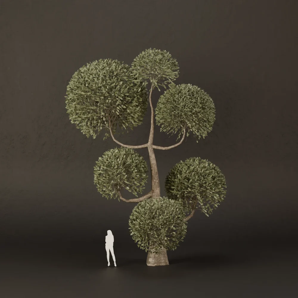 Sj-Ornamental Tree Spiral Grace