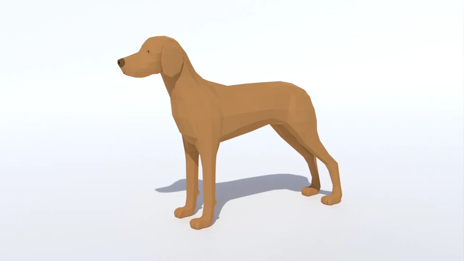 Low Poly Hungarian Vizsla Dog