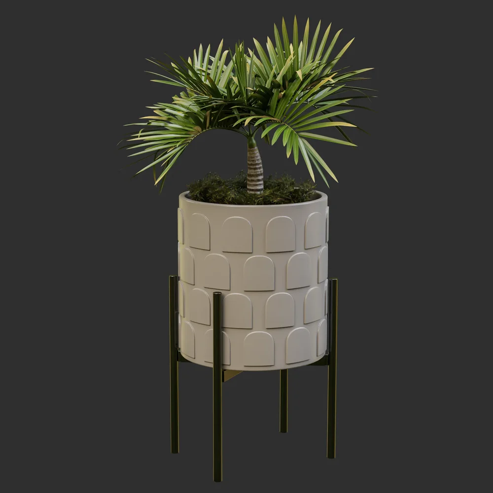 Stand And Palm