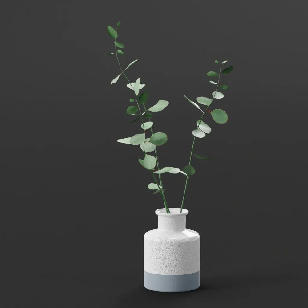 Eucalyptus Indoor Plant In Pot
