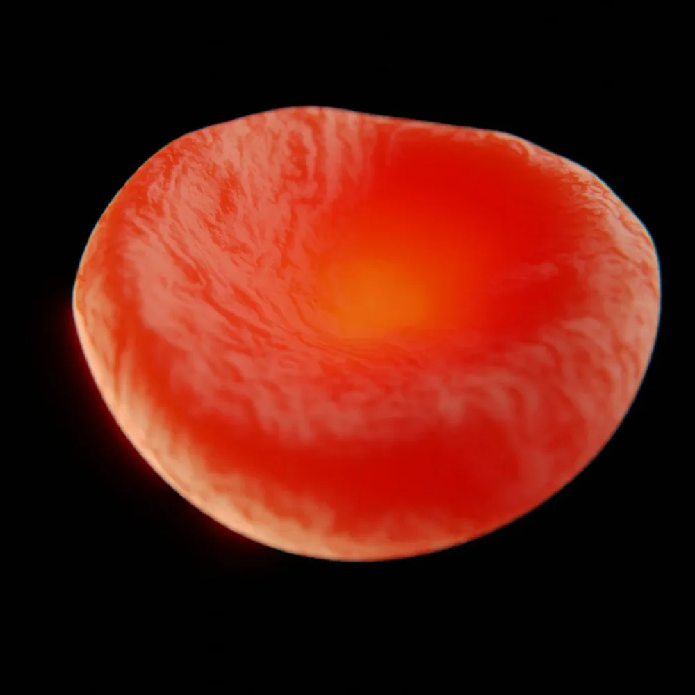 Red Blood Cell - Thrombozyt