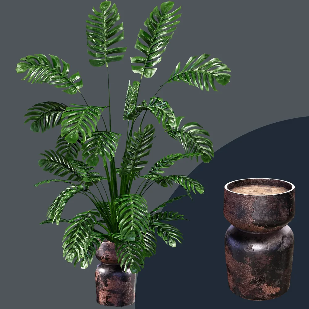 Sj-Monstera 06
