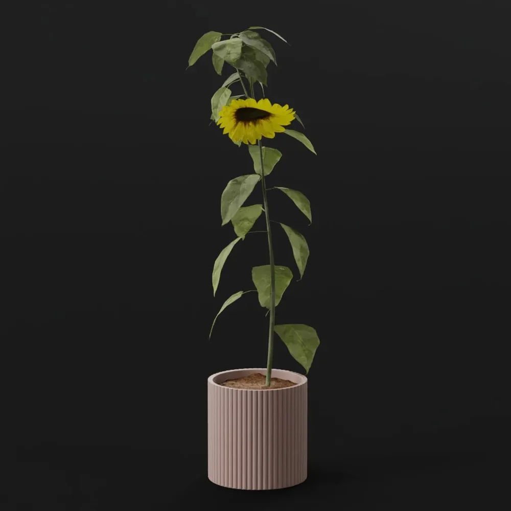 Flower Sunflower Long Pot