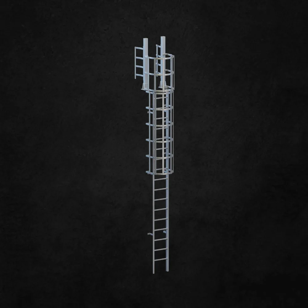 Exterior Ladder