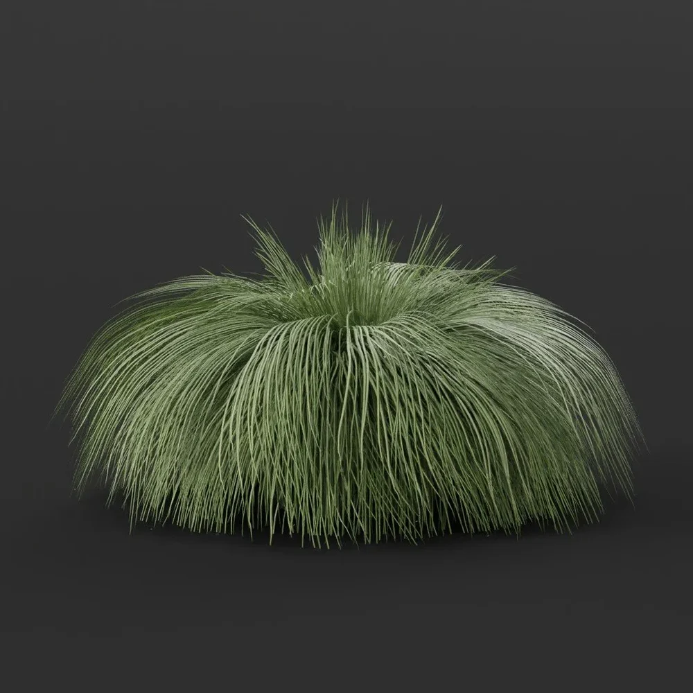 Fountain Grass Small