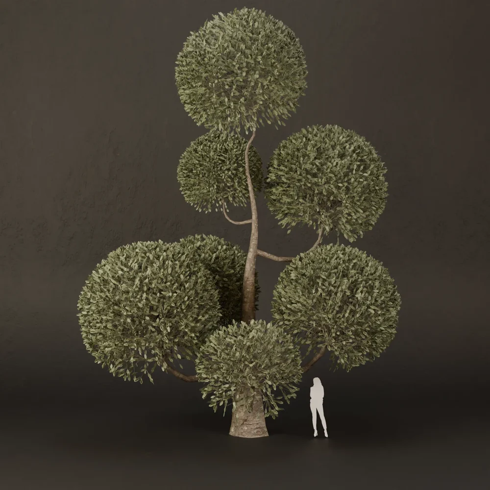 Sj-Ornamental Tree Loop Flow