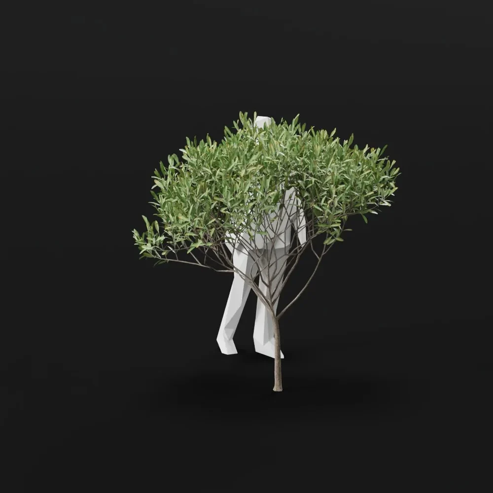Olive Tree City Small