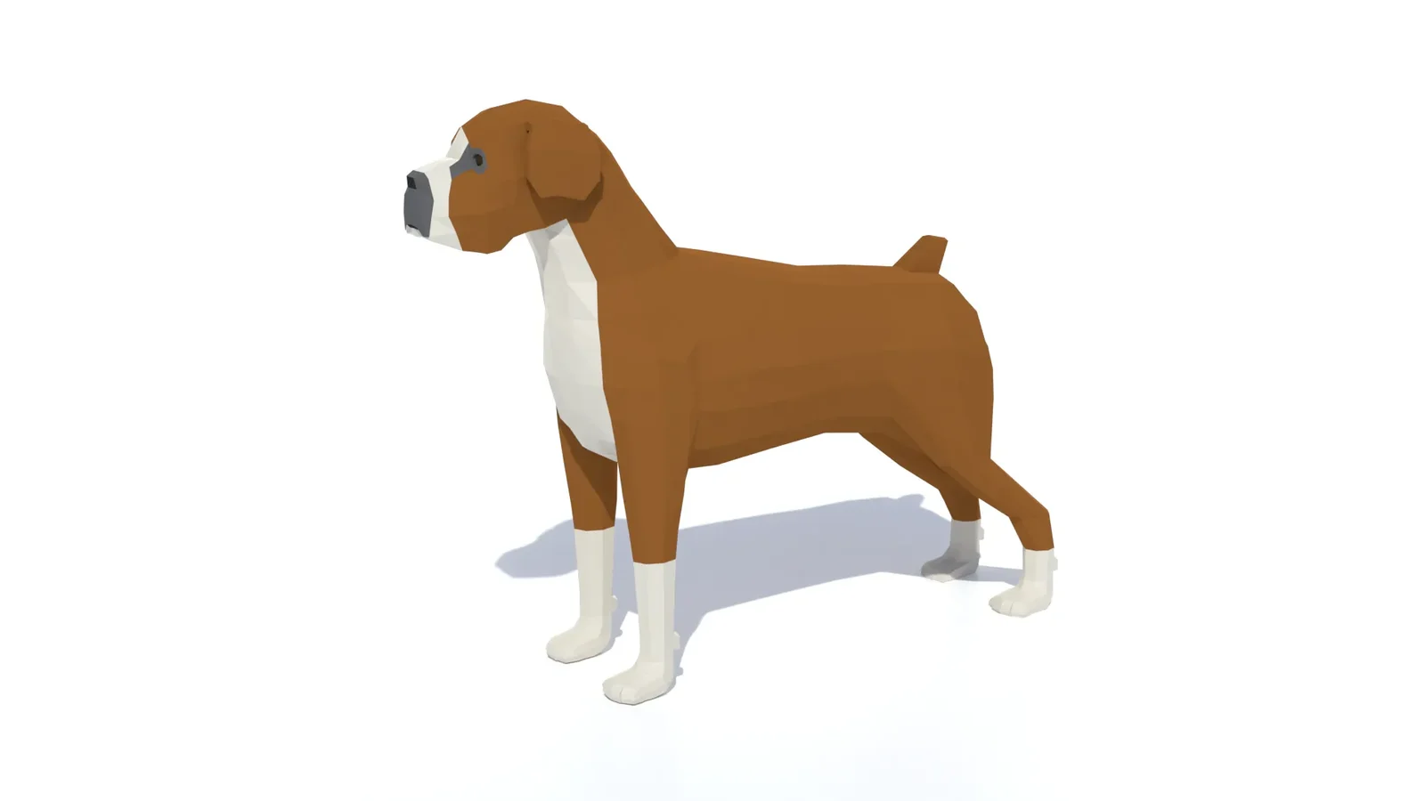 Low Poly Boxer Dog