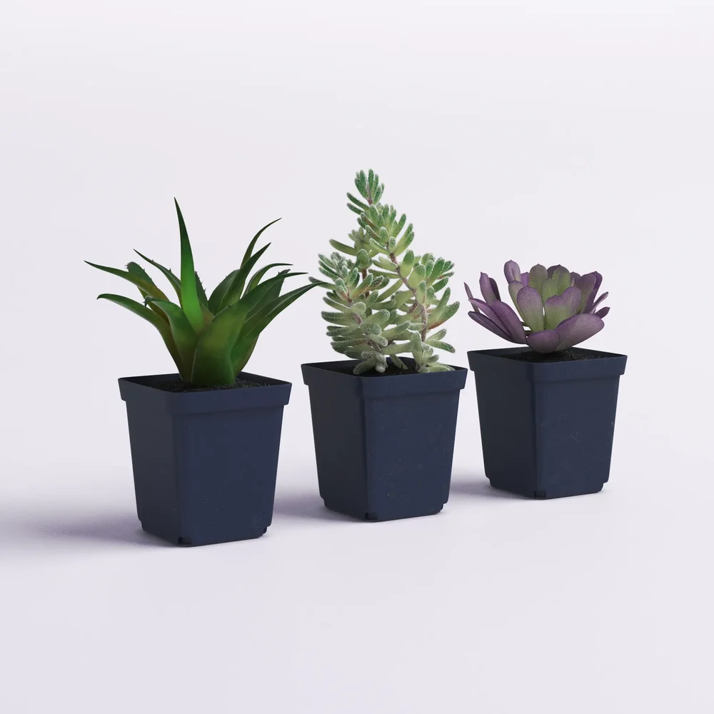 Set Of 3 Artificial Succulent Plants