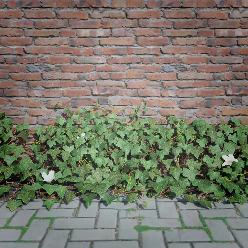 Ivy Creeper Edge 2m 02 01