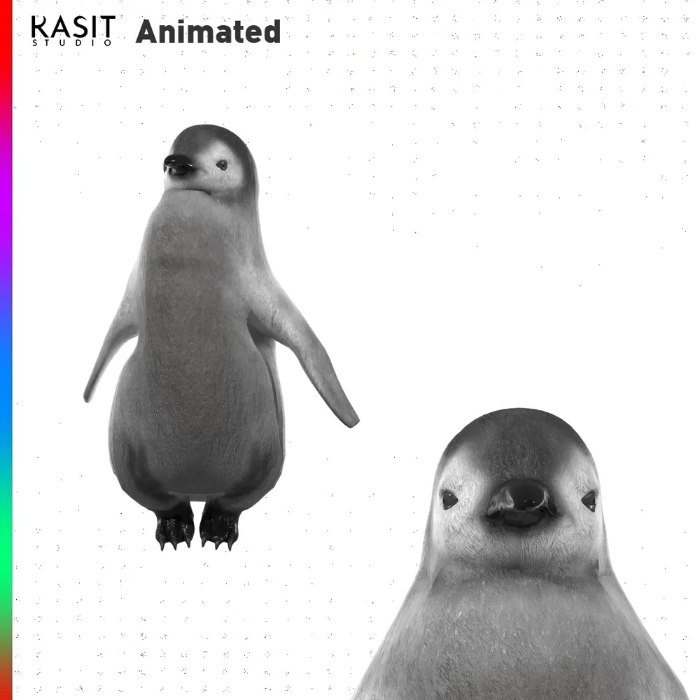 Baby Penguin (Animated)