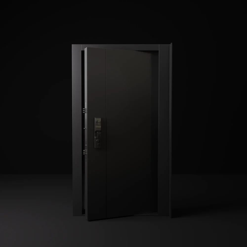 Door Entrance Modern