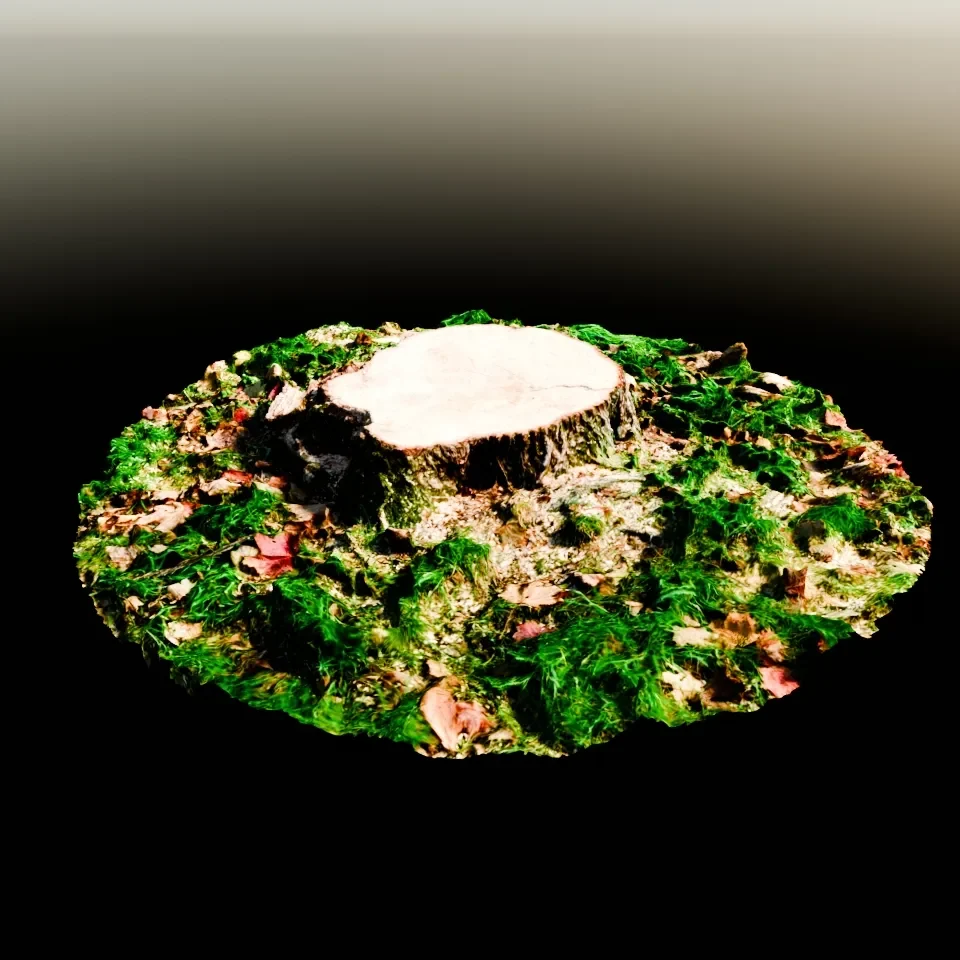 Tree Trunk Short Cutted With Gras And Leaves | Photo Scan