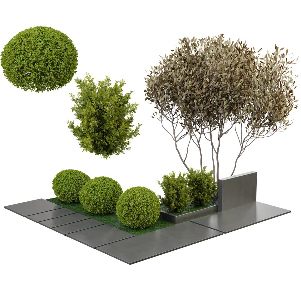 Outdoor Plant Garden Set0b