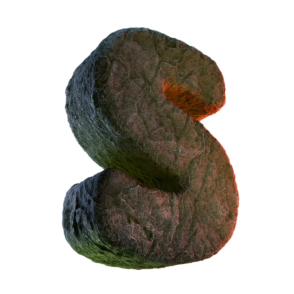 S Letter Of Alphabet Stone Carved