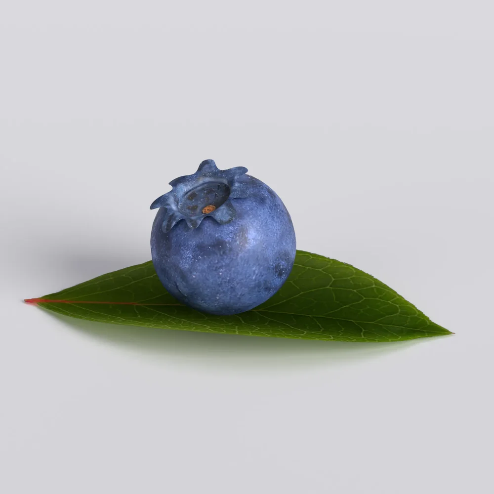 Blueberry Set