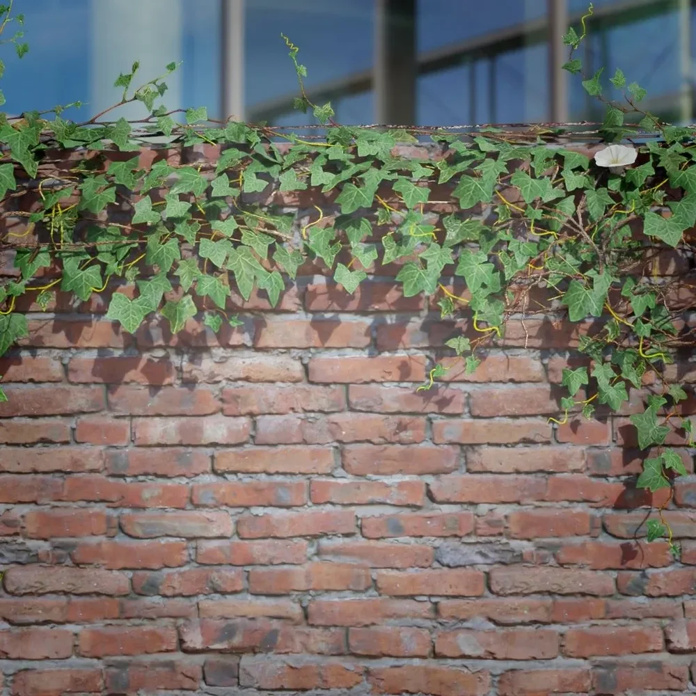 Ivy Creeper Ledge 2m 01 03