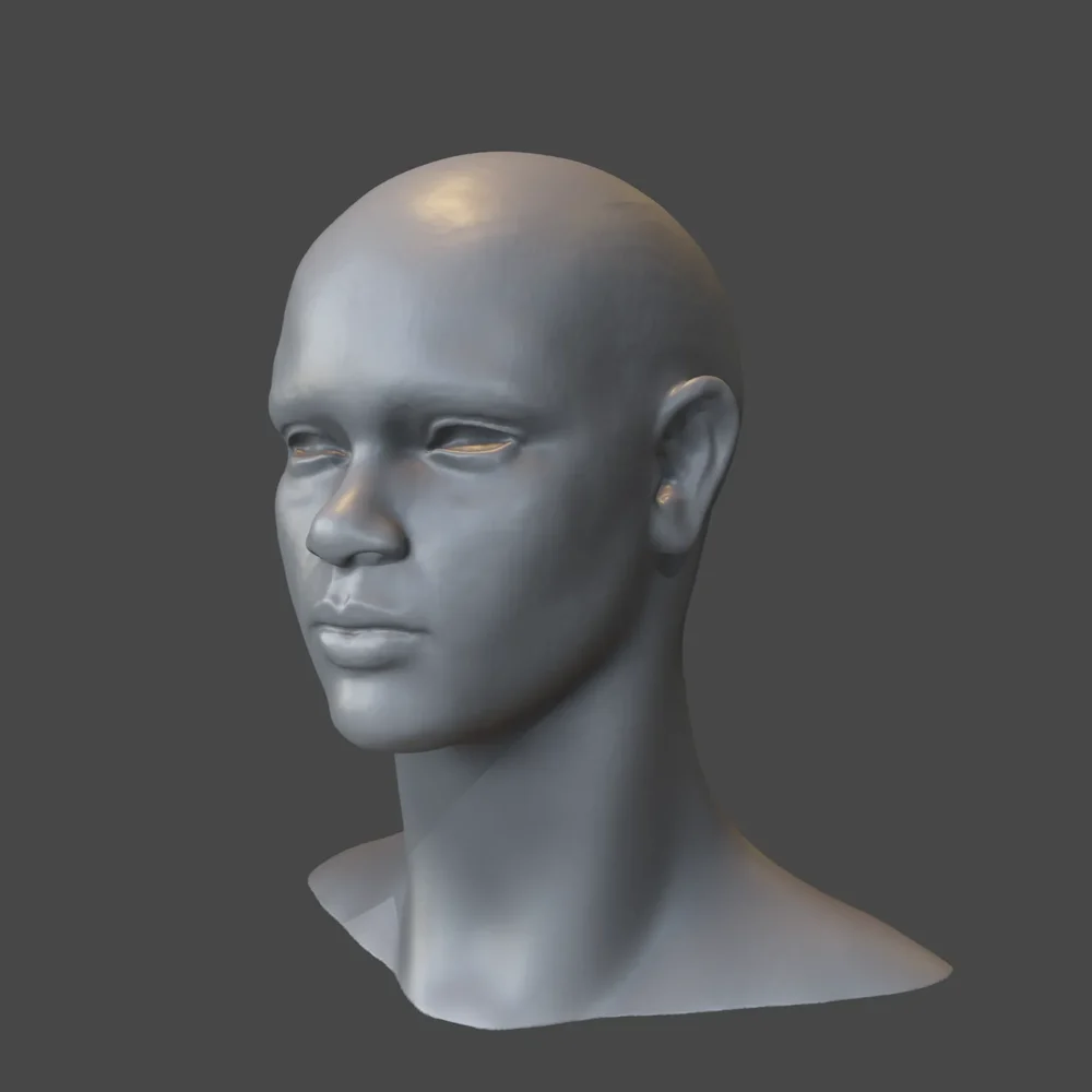 Detailed Female Head - African