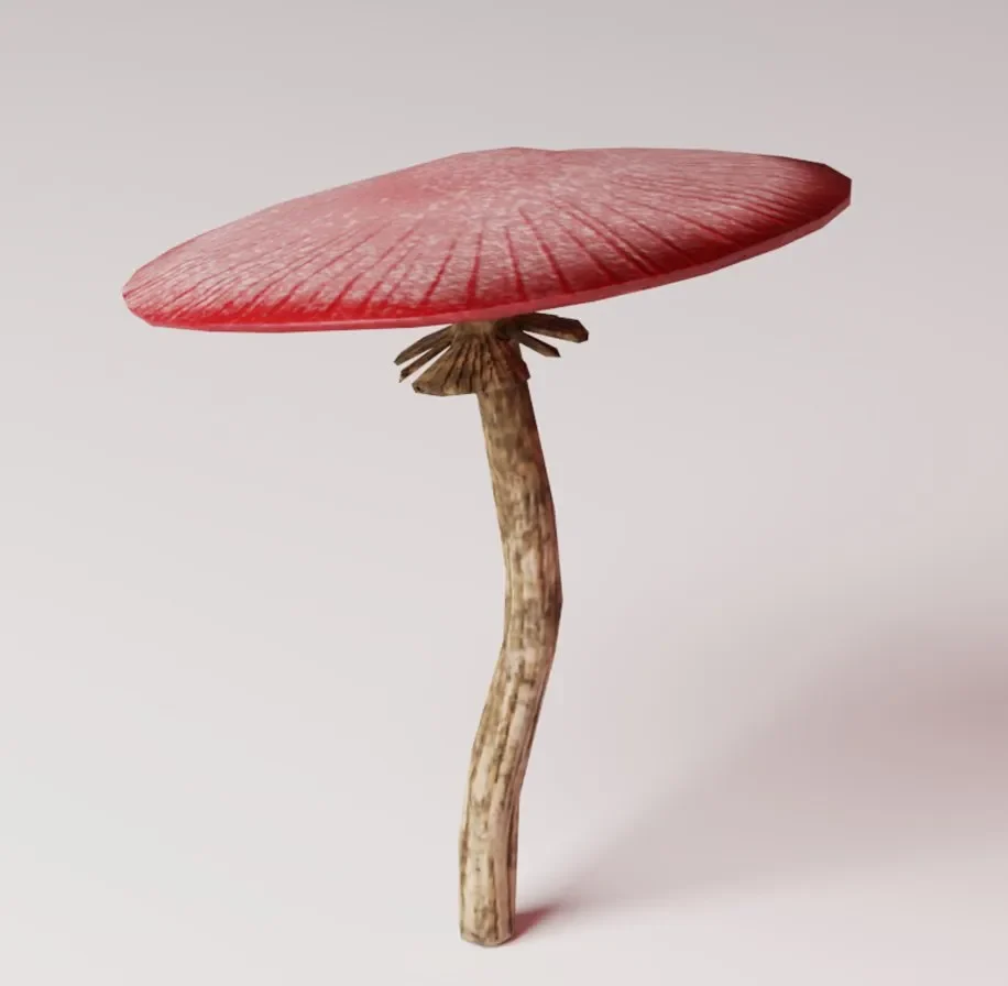 Mushroom