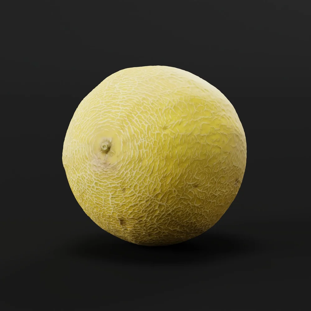 Melon (Photoscanned)