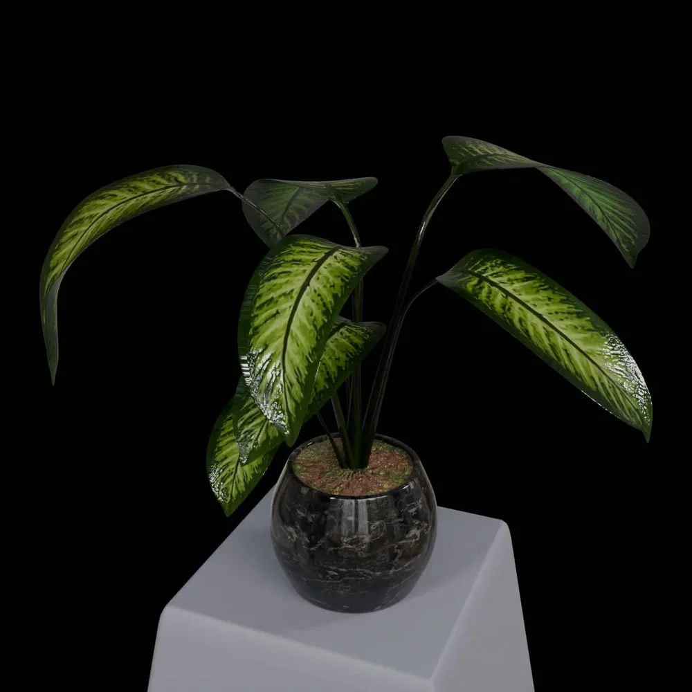 Ornamental Plant