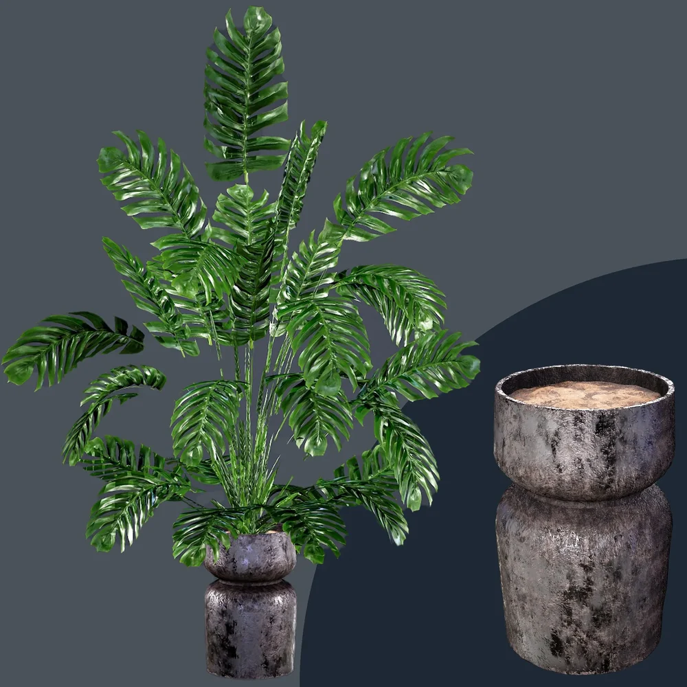 Sj-Monstera 08
