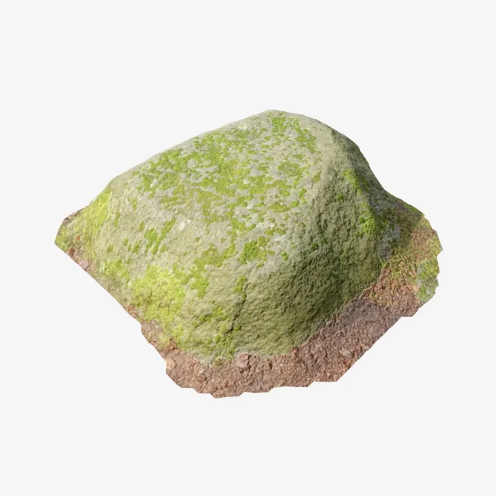 Rock Moss Forest Pbr Scan Part 2.2