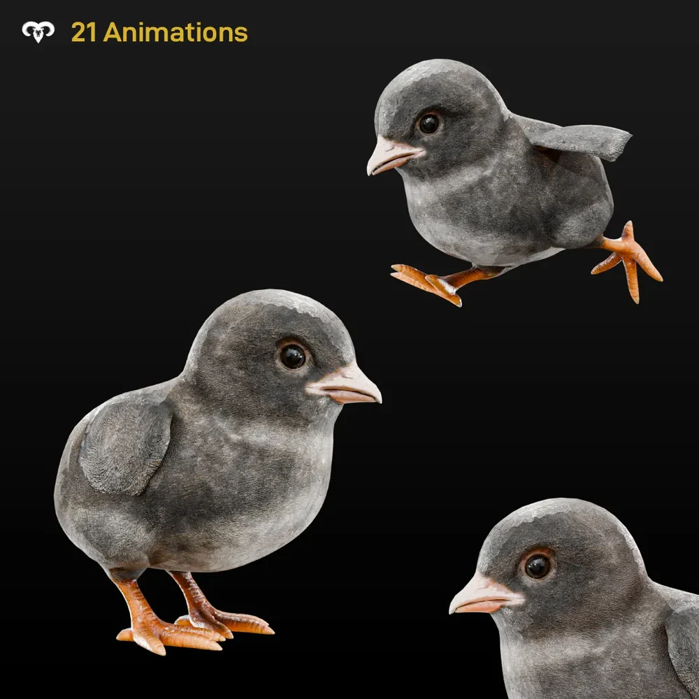 Chick Animated