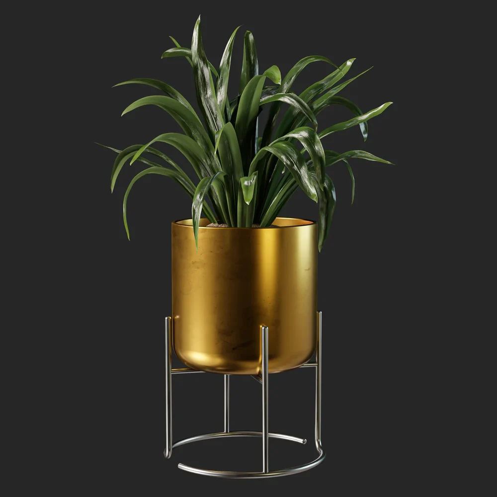 Plant