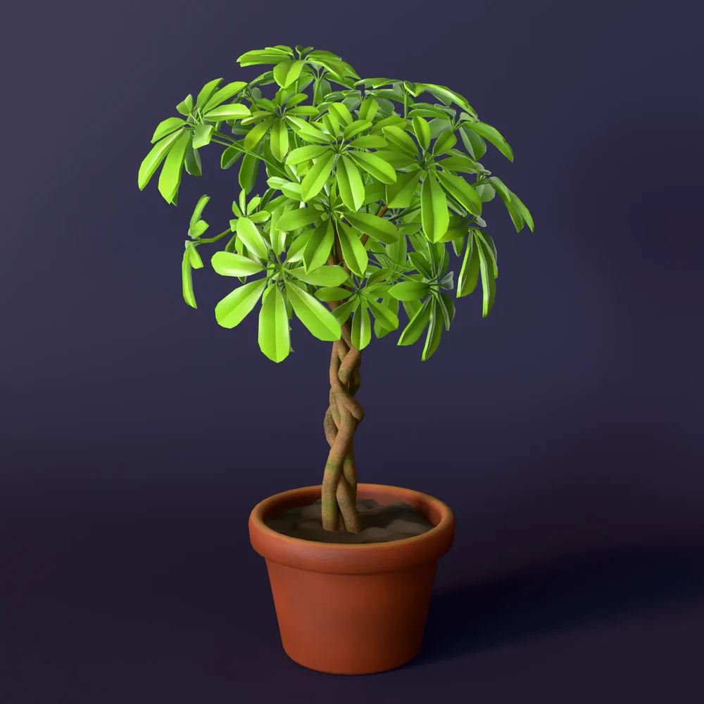 Stylized Schefflera Houseplant