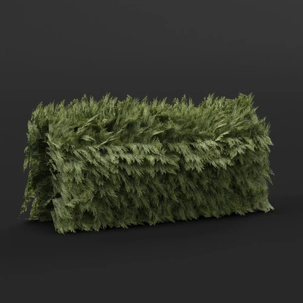 Red Cedar Hedge Straight 4m Variation