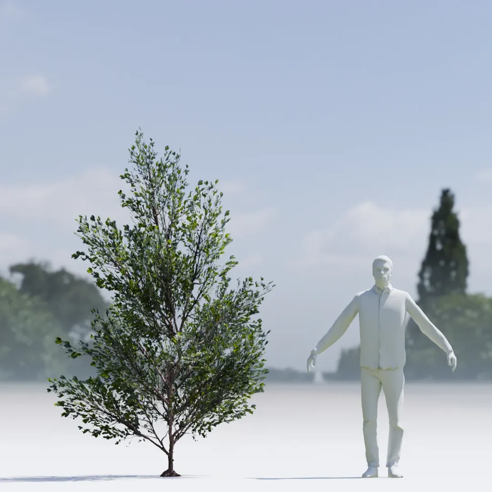Bush Lowpoly Animated