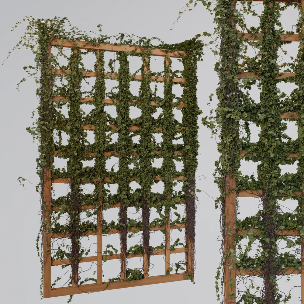 Screen Wooden
