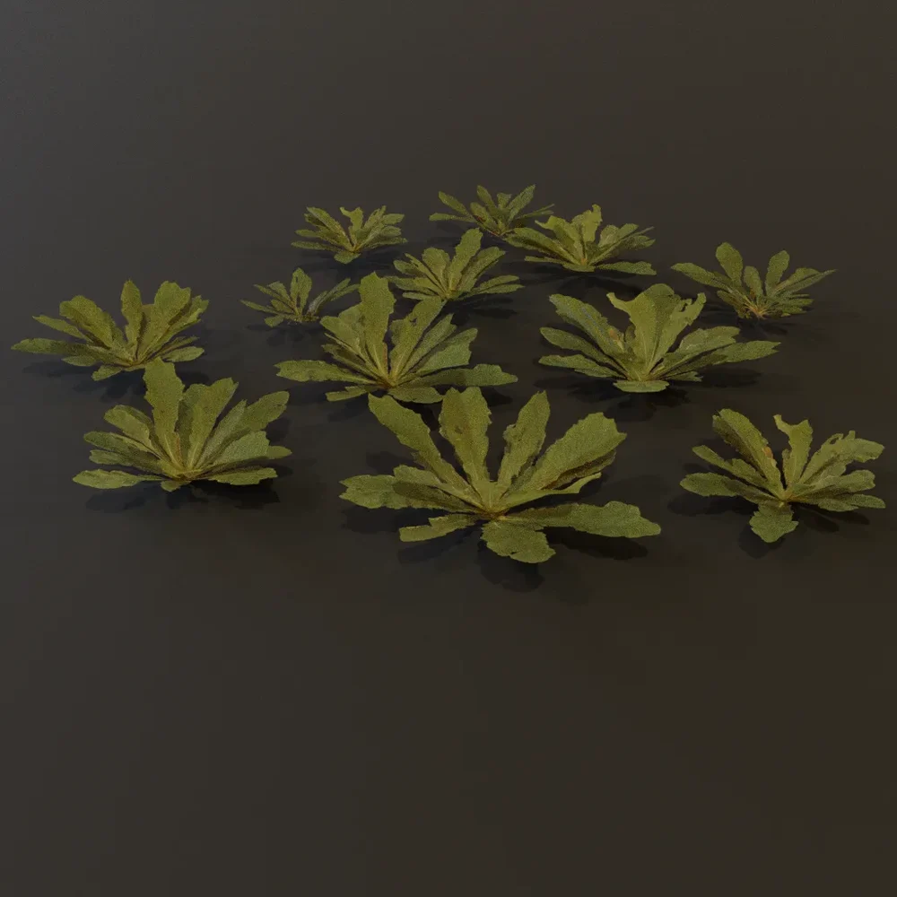 Ground Cover Grass Lrg