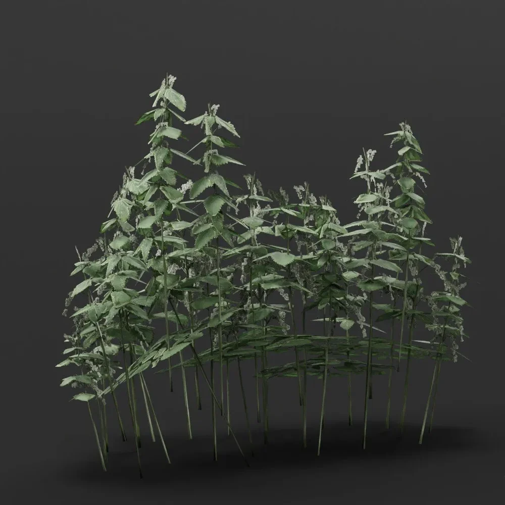 Nettle Bush Wide 2