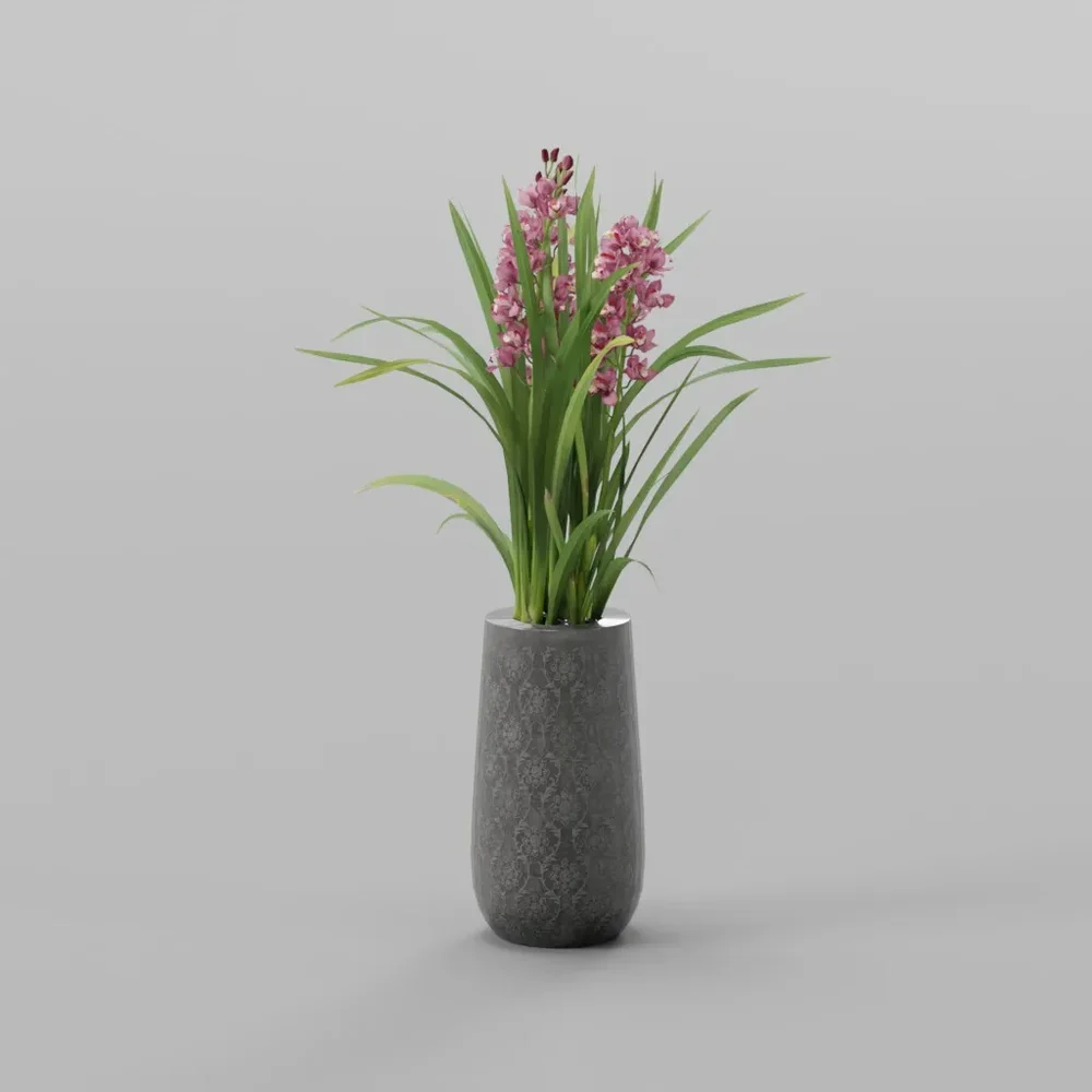 Pink Orchid Plant
