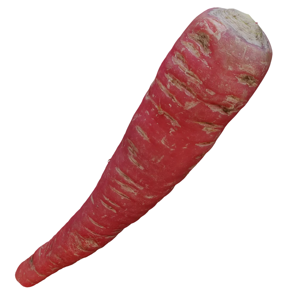 Carrot 3d Scan