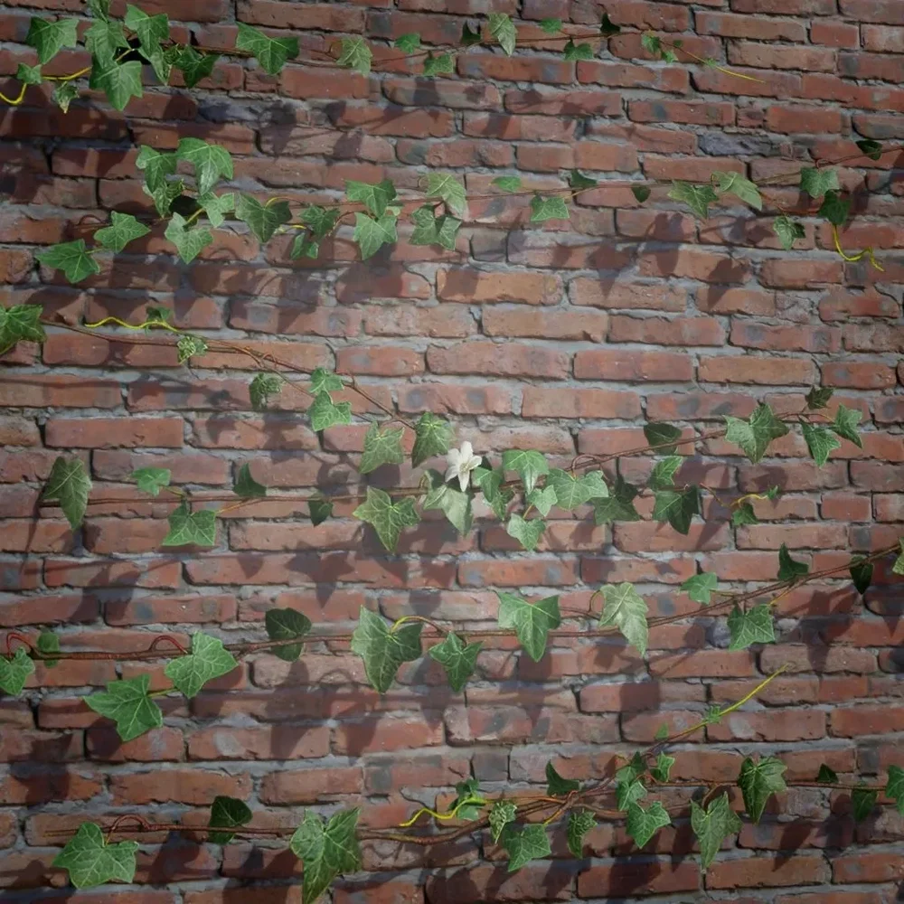 Ivy Creeper Side 2m 05