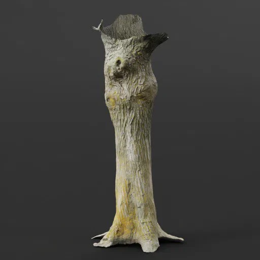 Photoscanned Maple Tree Trunk