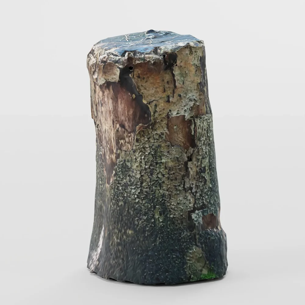 Tree Wood Log