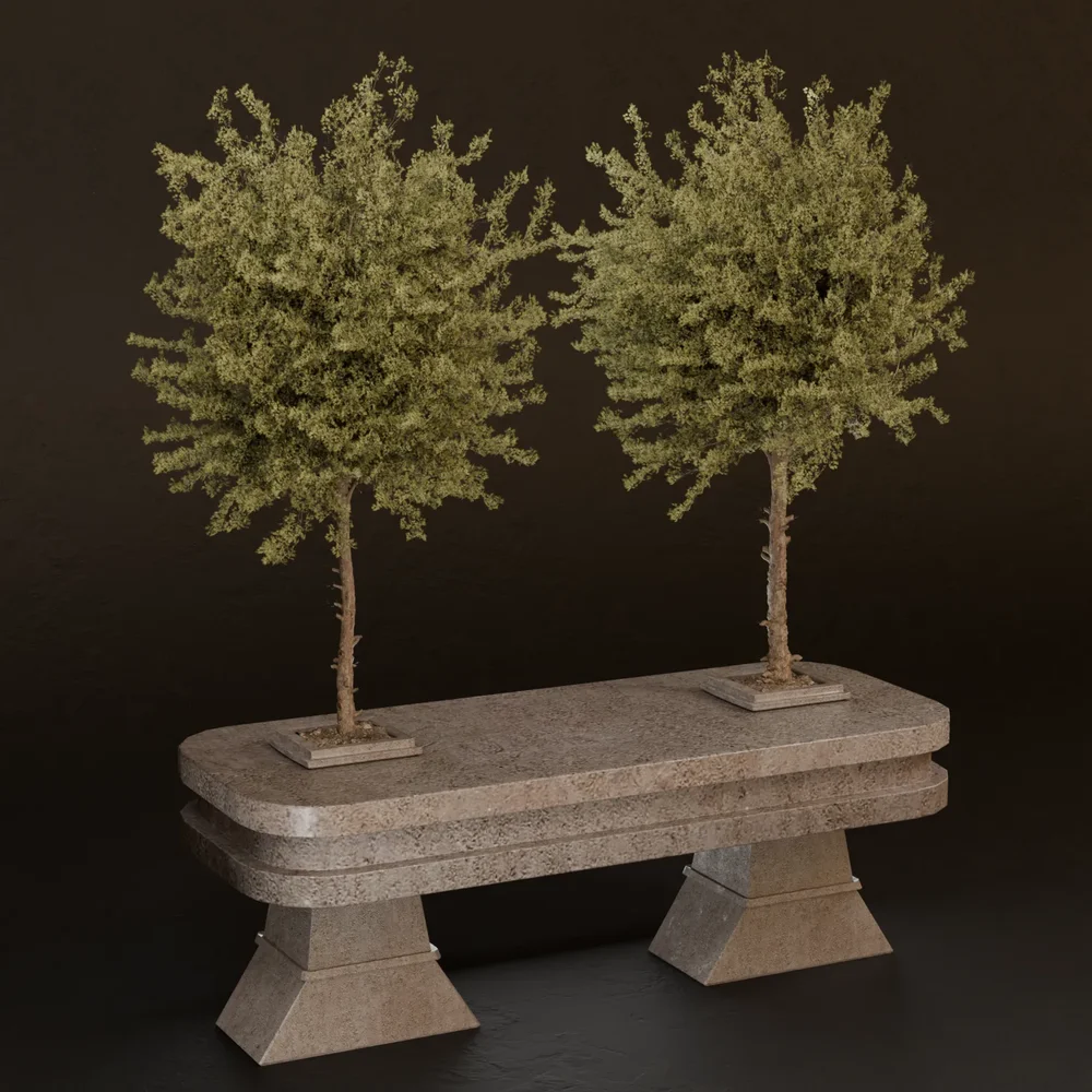Sj- Rising Nature Podium