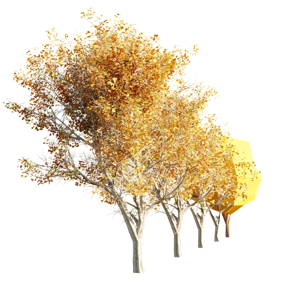 Tree With 4 Lod And Proxy - Autumn