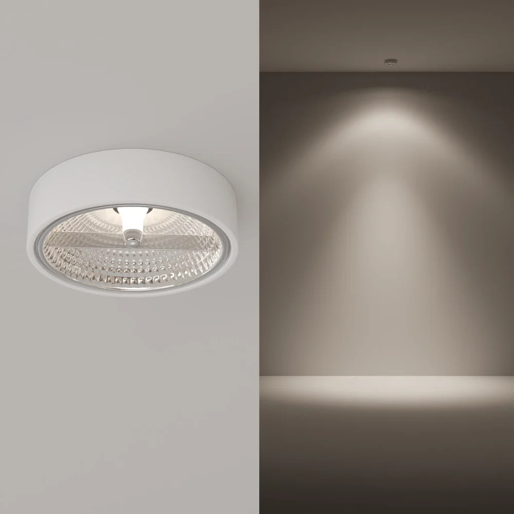 Ceiling Spotlight