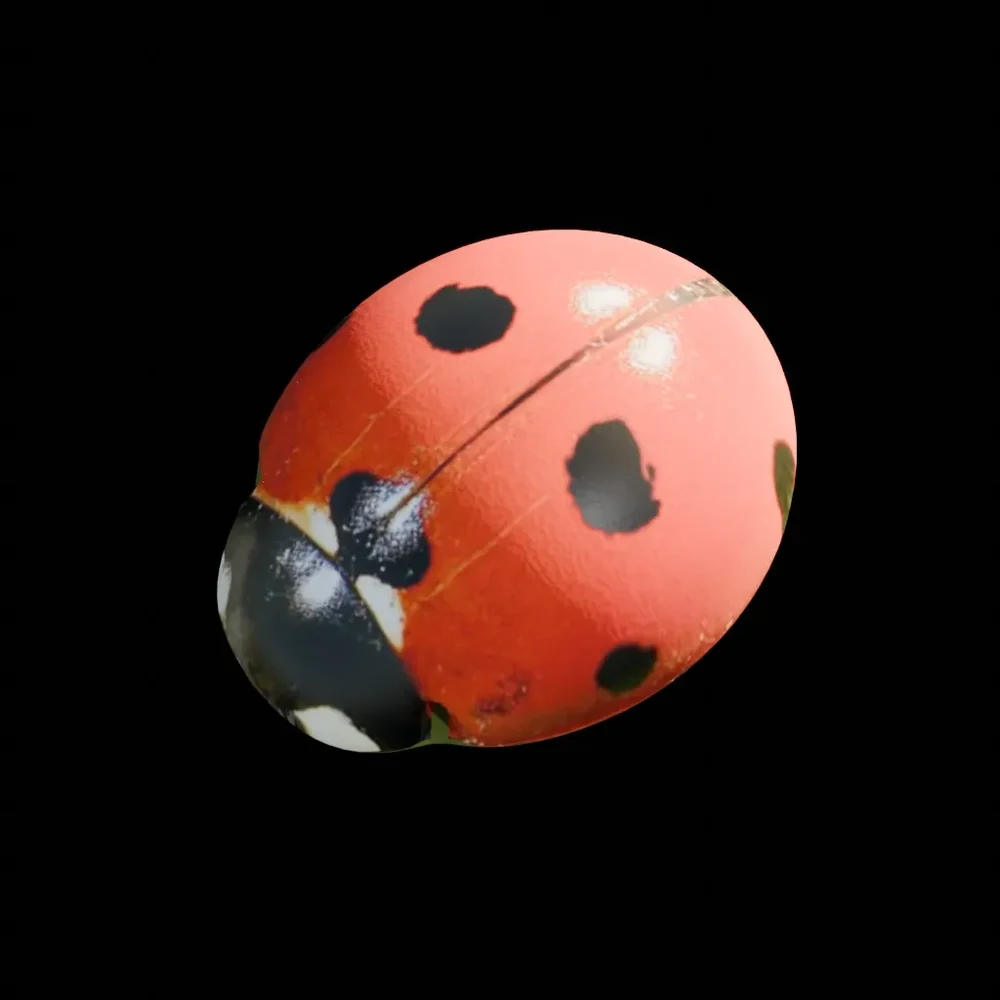 Ladybug