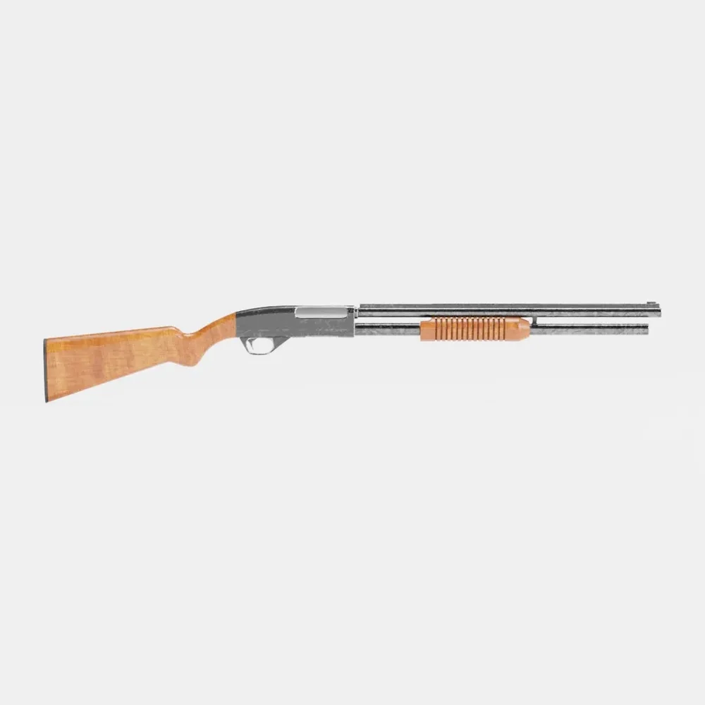 12 Gauge Shotgun
