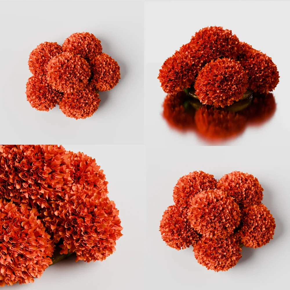 Bunch Of Orange Marigold Flower