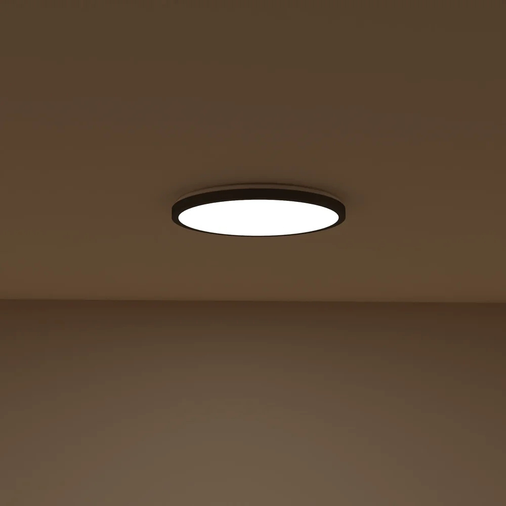 Round Ceiling Lamp